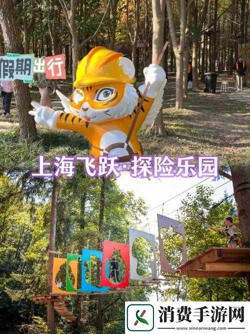 如何安装配置森林小队，开启冒险之旅？揭秘玩法革命必备指南！