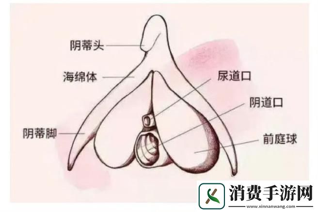 大荫蒂BBBBBB大荫蒂
