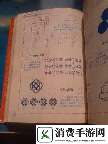 挑战大聪明电脑版该如何下载并安装？详细步骤揭秘！