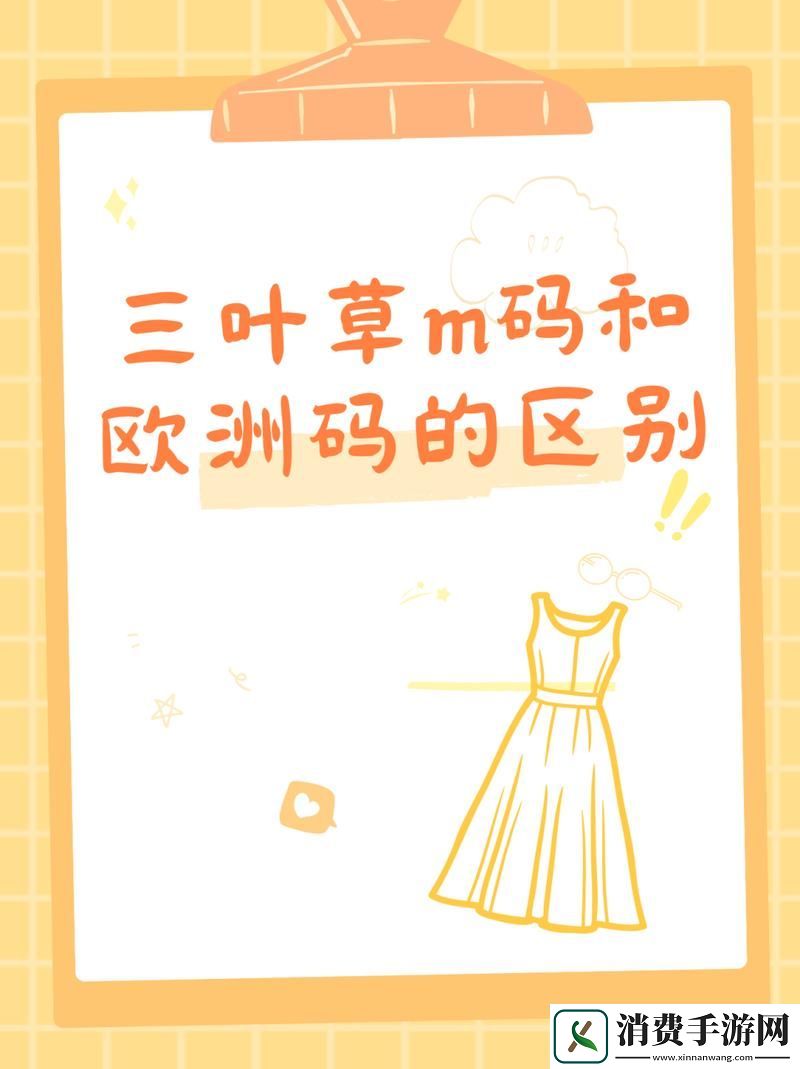 探究“三叶草m码和欧洲码区别”：揭示尺码选择的奥秘