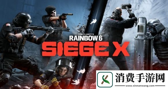 彩6的6