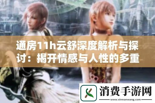 通房11h云舒深度解析与探讨：揭开情感与人性的多重面纱