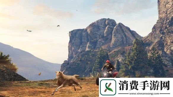 数毛社由给他爱5增强版推测