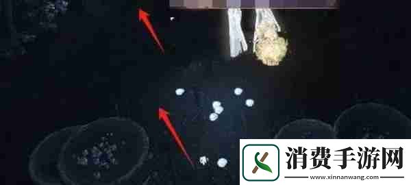逆水寒手游幽谷寻茵怎么过