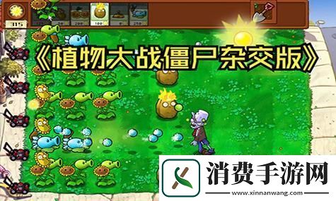 无限暖暖打起精神活动介绍：感受温暖与活力的完美结合-助你焕发生活新气象