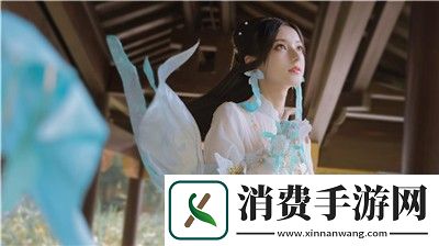 享受如何避免欧洲尺码与日本尺码的差异困扰-专线物流服务如何确保顺畅运输