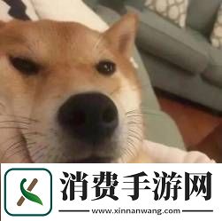 美女主播吸粉数十万
