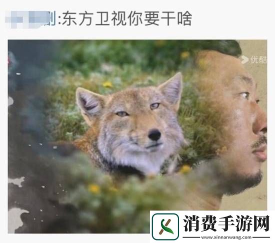 终于忽悠她穿上了过膝袜