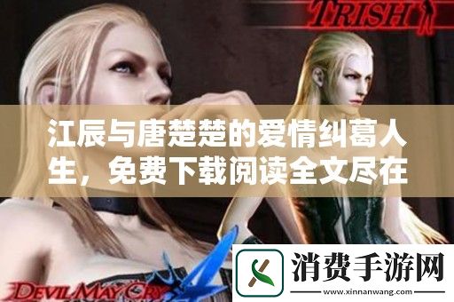 江辰与唐楚楚的爱情纠葛人生-免费下载阅读全文尽在此处
