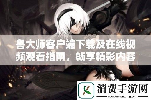 鲁大师客户端下载及在线视频观看指南-畅享精彩内容无障碍体验