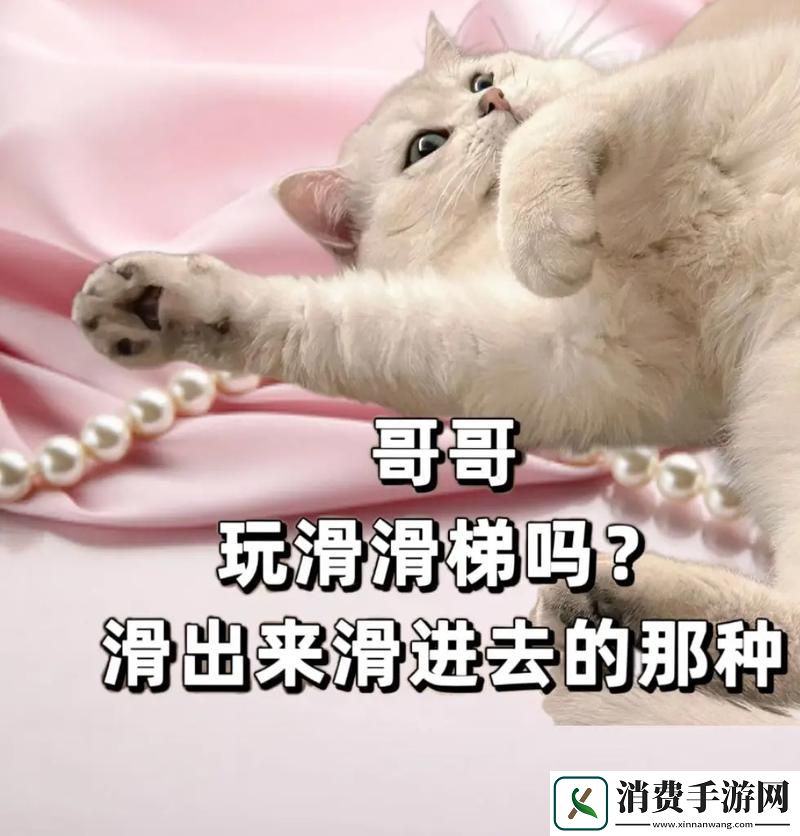 情感回馈宝贝几天没C你了-让我们来聊聊