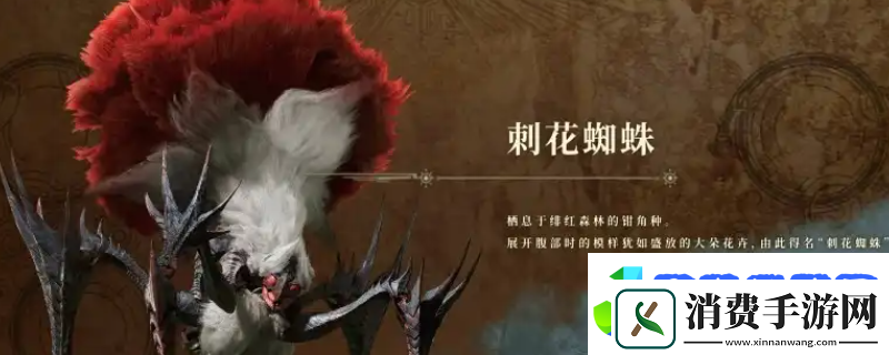 怪物猎人：荒野刺花蜘蛛弱点介绍