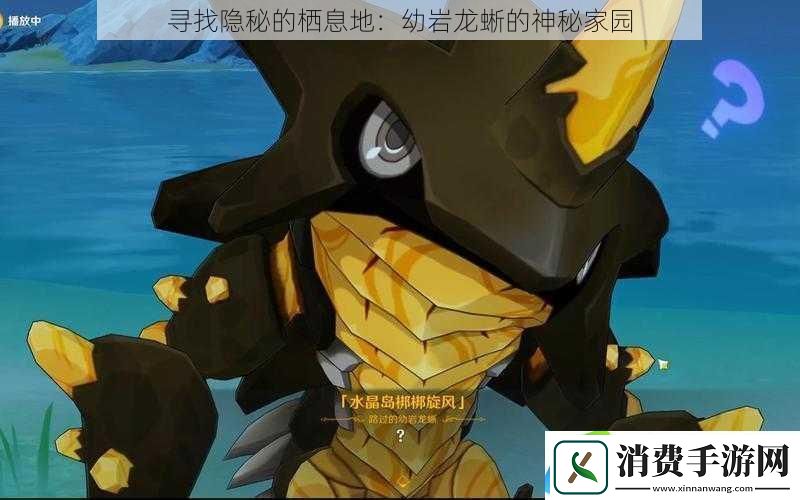 寻找隐秘的栖息地：幼岩龙蜥的神秘家园