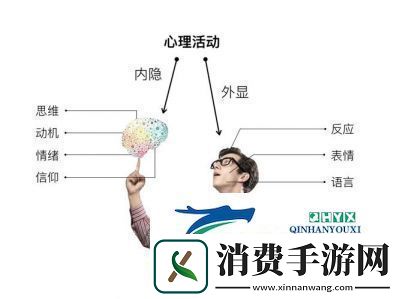 探讨多人游戏背后的心理动机