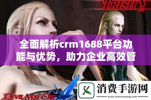 全面解析crm1688平台功能与优势-助力企业高效管理客户关系