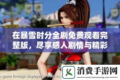 在暴雪时分全剧免费观看完整版-尽享感人剧情与精彩表演