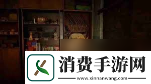 潜行者2夜莺的狩猎支线任务怎么玩