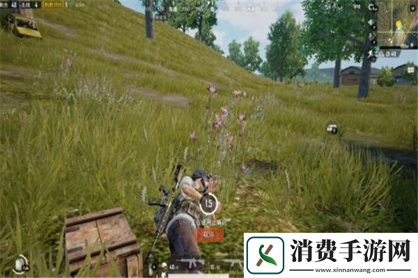 斗破苍穹手游的特效呈现究竟如何-带你领略视觉盛宴与游戏之美的完美结合！