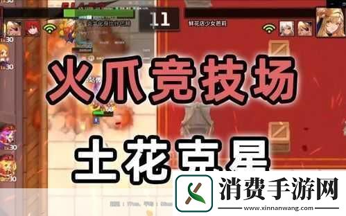 坎公骑冠剑深度探索土花专武的奥秘与实战风云