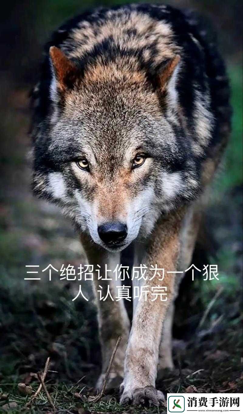 原来这就是狼的操作真相！身边这些技巧90%人不知道