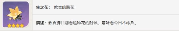 原神教官怎么样