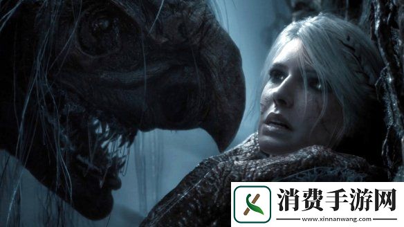 巫师4发售成谜