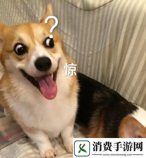 国产端游上演“离谱”造富神话