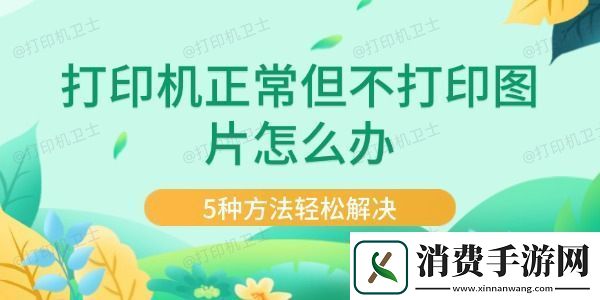 打印机正常但不打印图片怎么办-5种方法轻松解决