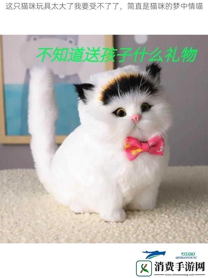 这只猫咪玩具太大了我要受不了了简直是猫咪的梦中情喵
