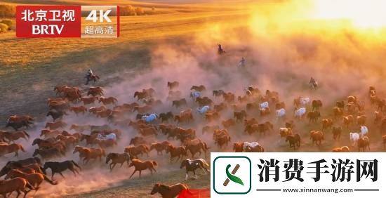 国内首个！北京卫视4K超高清频道震撼亮相