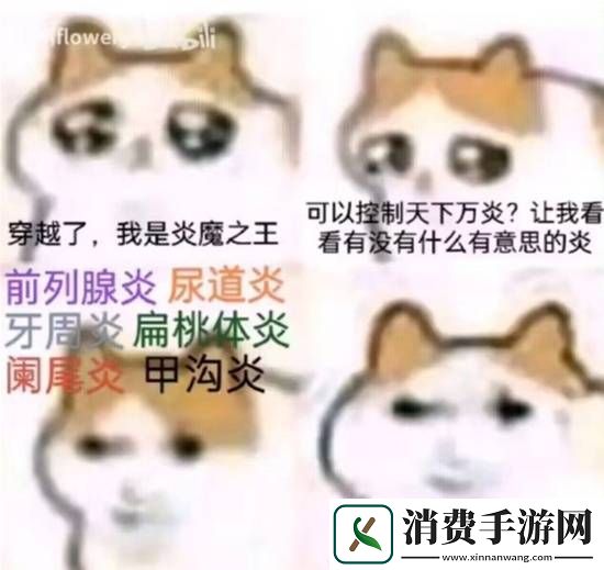 圆润肥美的身体如何造就