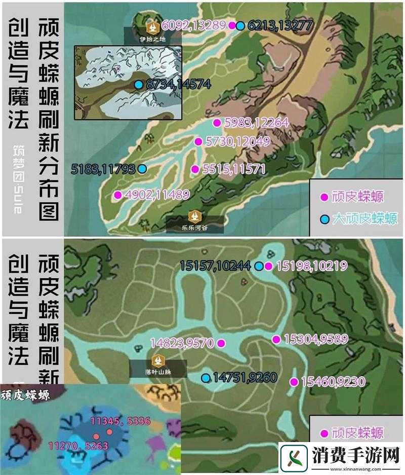魔法顽皮蝾螈到底爱吃啥-这份饲料清单养出健康王者！