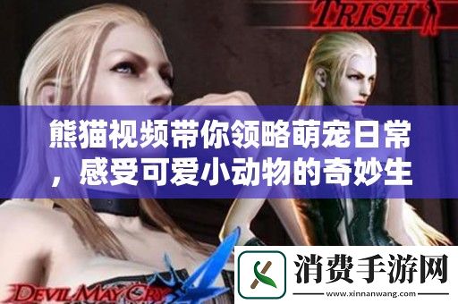 熊猫视频带你领略萌宠日常-感受可爱小动物的奇妙生活