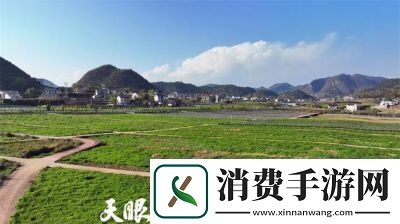 精产国品一二三产区9977：打造优质产品的典范