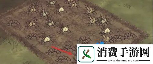 饥荒蜘蛛人怎么种地