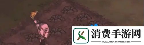 饥荒蜘蛛人怎么种地