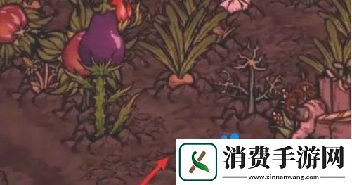 饥荒蜘蛛人怎么种地