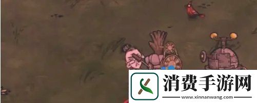 饥荒蜘蛛人怎么种地