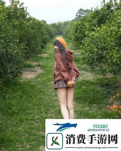 日韩剧在线观看免费全集电视剧-吸引观众的多样化选择-友：剧迷的福音-太赞了！