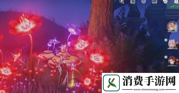鸣潮幽夜幻梦怎么过