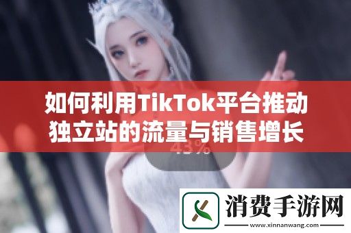 如何利用TikTok平台推动独立站的流量与销售增长