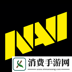 OverDrive猜测NAVI若持续失利-Major后将面临变阵