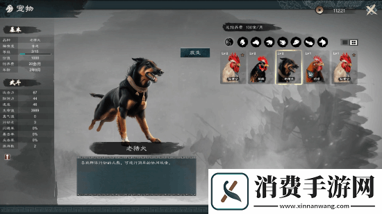 买就对了英雄立志传