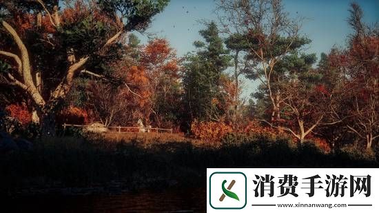 刺客信条影绝美风景欣赏