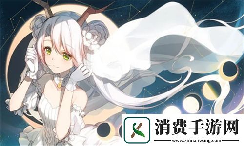 金花瓶楷梅花2正片：探寻传统艺术魅力与现代创新的完美结合