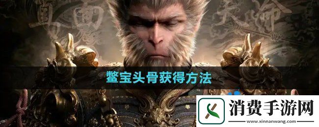 黑神话悟空鳖宝头骨‌怎么获得
