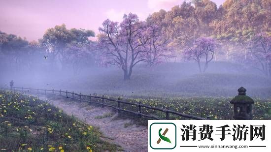 刺客信条影绝美风景欣赏