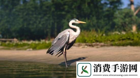 刺客信条影绝美风景欣赏