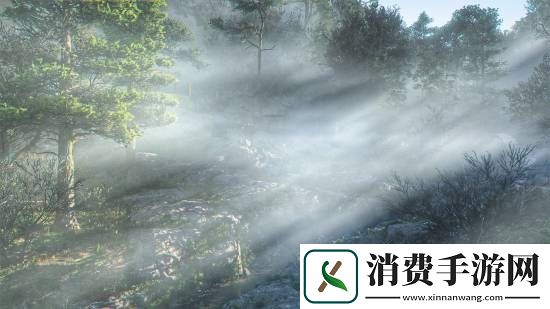 刺客信条影绝美风景欣赏