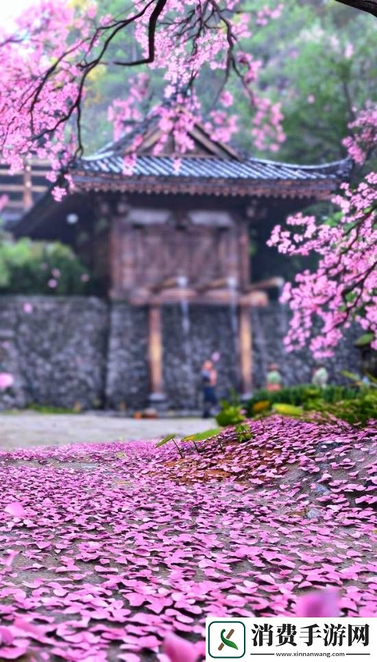 刺客信条影绝美风景欣赏